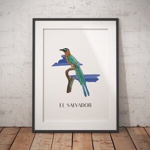 Turquoise-browed Motmot El Salvador - Birds of the World - Classic Matte Paper Poster