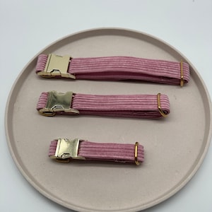 Hundehalsband  &quot;Cordula&quot; aus Cord Rosa