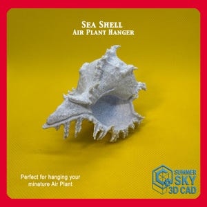 Sea Shell Air Plant Hanger