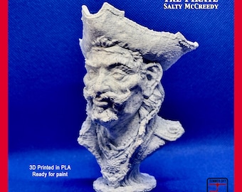 The Pirate Salty McCreedy - 3D Printed Bust