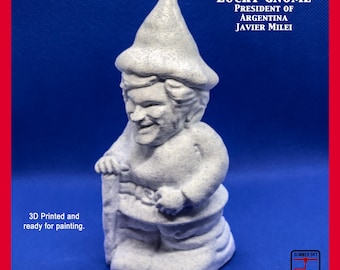 Lucky Gnome created to look like the President of Argentina - Javier Milei