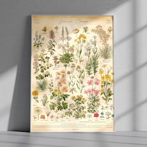 Op de afbeelding: Een vintage botanische print met een verscheidenheid aan kleurrijke wilde bloemen en planten. De print, getiteld "Fleurs des Champs", toont gedetailleerde illustraties van verschillende soorten, met een crèmekleurige achtergrond en een witte lijst.