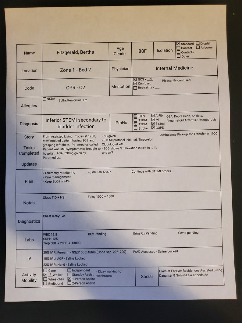 Fillable Nursing Report Sheet, Printable Daily Nursing Sheet, One