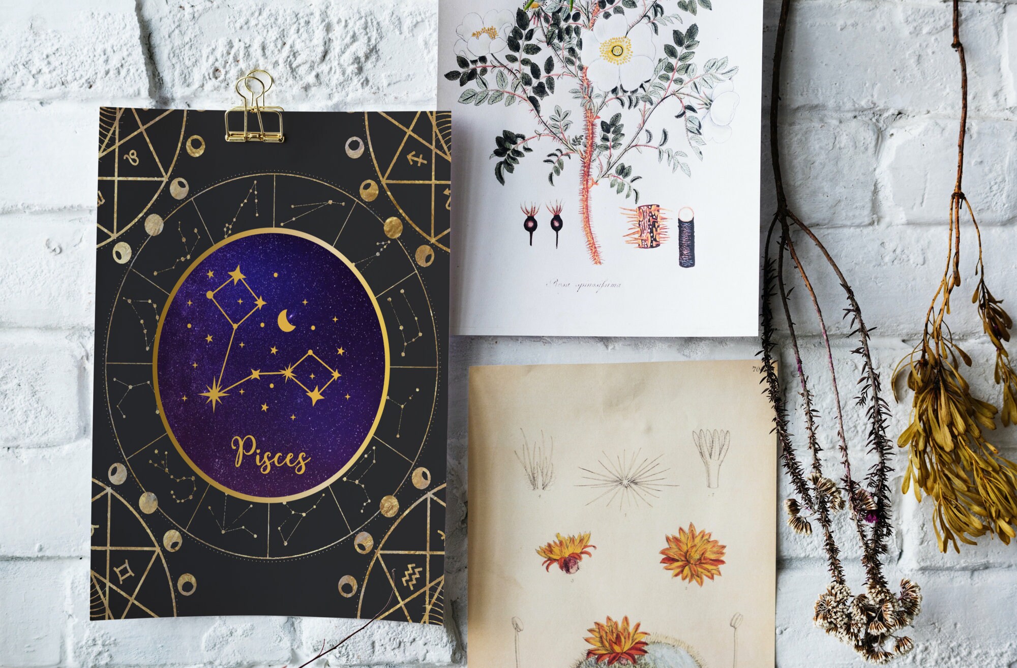 Printable Pisces Zodiac Constellation Wall Art, Astrology Wall Decor