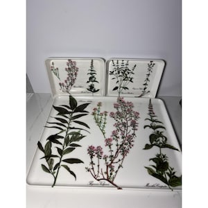 VTG Melamine Tray Italy Herbs Flowers Botanical Print 1960s Set Of 3