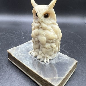 Genuine Stone Handcrafted USA Owl on Book w/ Tiger Eyes Vintage