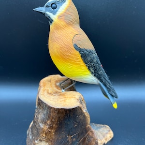 Vintage Hand Carved Cedar Waxwing Bird Sculpture Signed