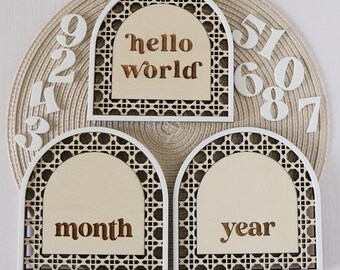 Baby Milestone Disc Wooden Set Monthly Milestone Signs Baby Shower Gift New Baby Interchangeable Milestone Set Hello World Baby Arrival Sign