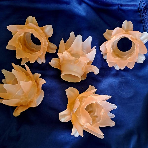 Vintage Murano Glass Lamp Shades – Frosted Rose Petal Floral Design (Set of 5)