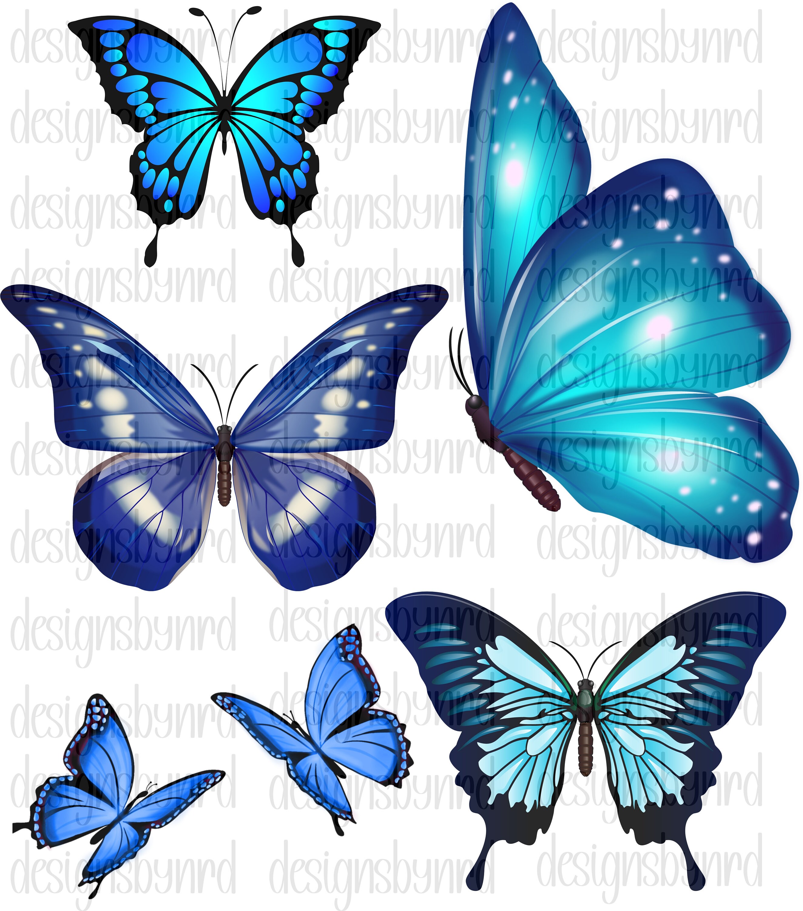 Butterfly Svg, Butterfly Png, Butterfly Svg Bundle, Butterfly Png