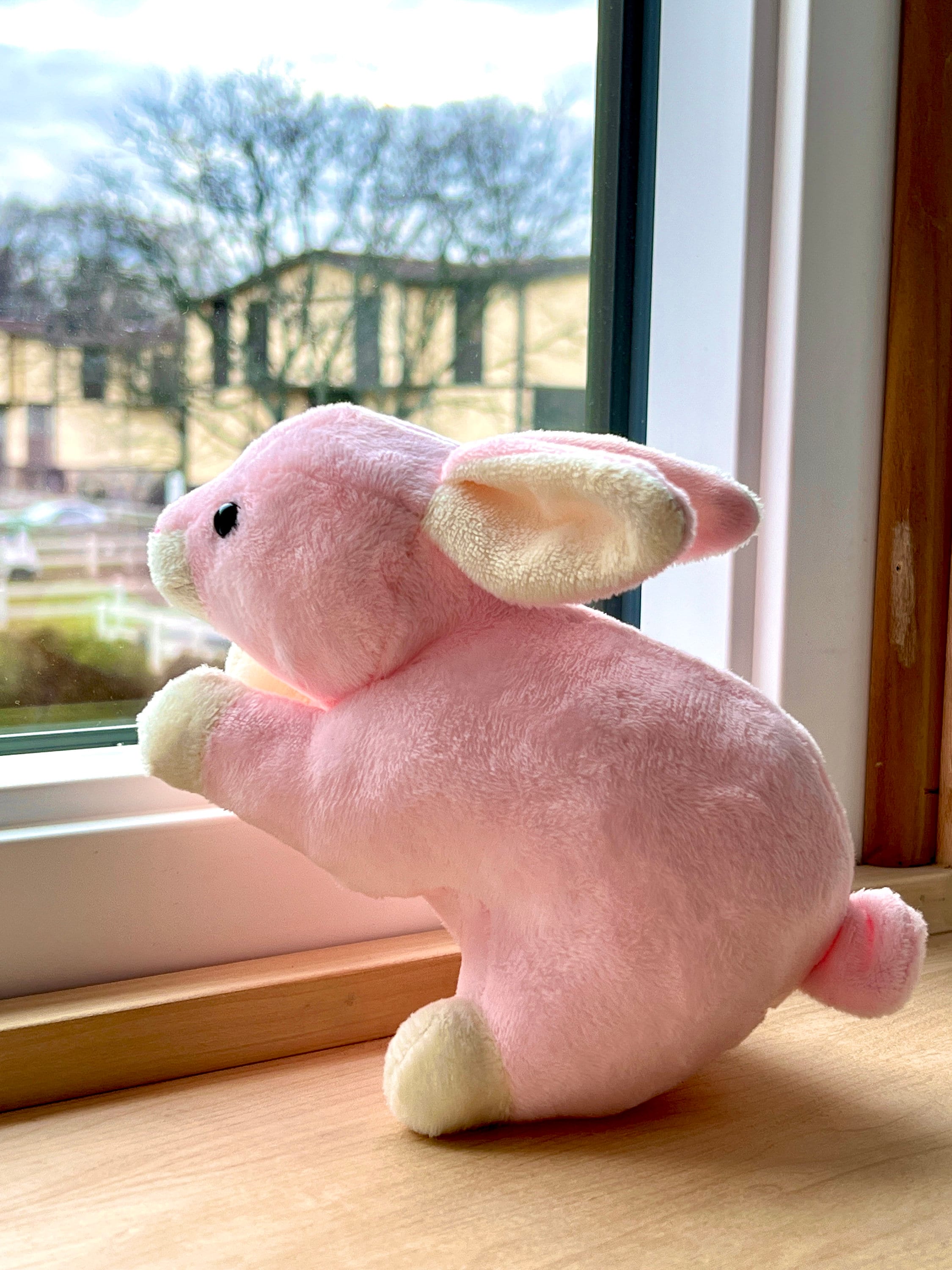 Bunny Rabbit Stuffed Toy Sewing Pattern Tutorial DIY Plushie Etsy