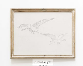 Vintage Gull Birds Drawing | Vintage Sketch | Digital Print Wall Decor | PRINTABLE | 185