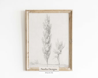 Deciduous Trees Pencil Drawing | Vintage Sketch | Digital Print Wall Decor | PRINTABLE | 179