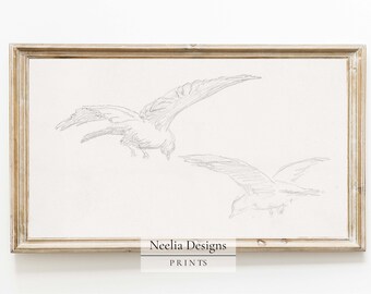 Vintage Gull Birds Drawing | Vintage Sketch | Samsung Frame Digital File | TV Art | 186