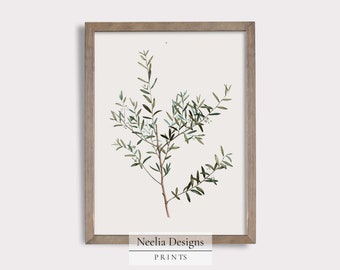 Winter Leafy Sprig | Vintage Painting | Digital Print Wall Decor | PRINTABLE | 155