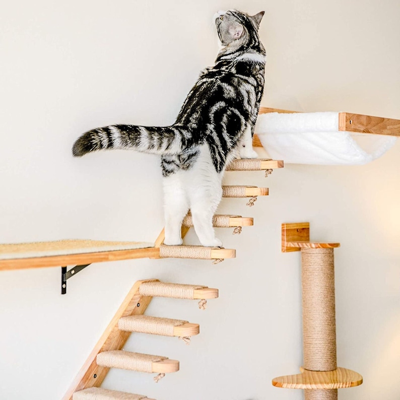 Wood Cat Stairs Wall Furniture Cat Play Steps Climbing Wall Etsy