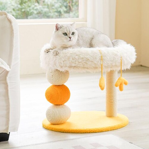 cat play climbing frame