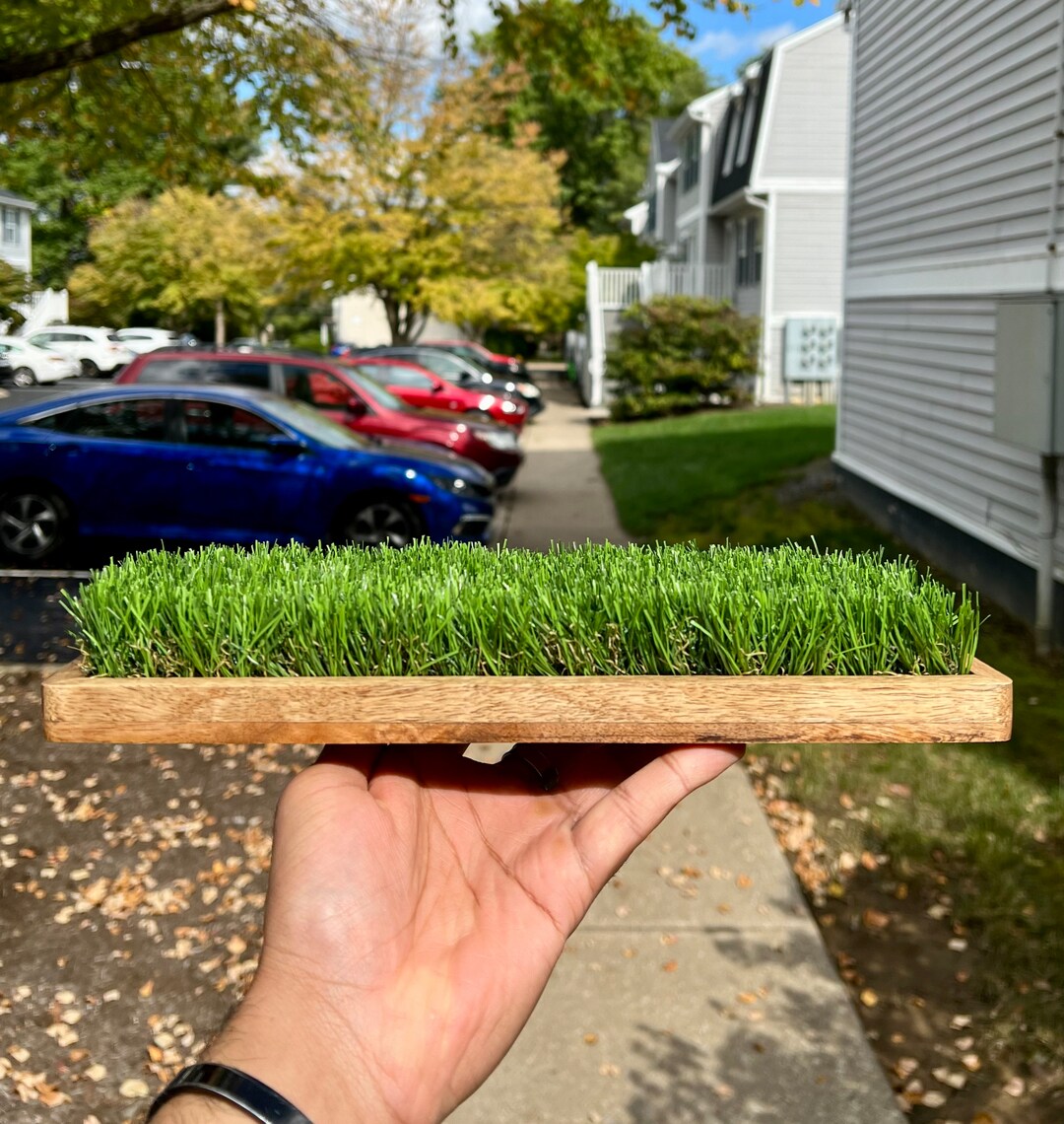Mango Wood Artificial Grass Tray Desk Plant Home Decor Etsy
