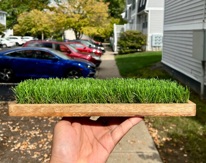 Mango Wood Artificial Grass Tray Desk Plant Home Decor Etsy