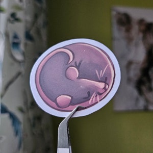 Sleeping rat Vinyl Sticker Bild 4