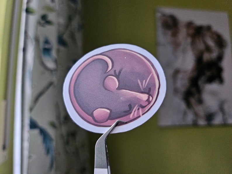 Sleeping rat Vinyl Sticker Bild 4