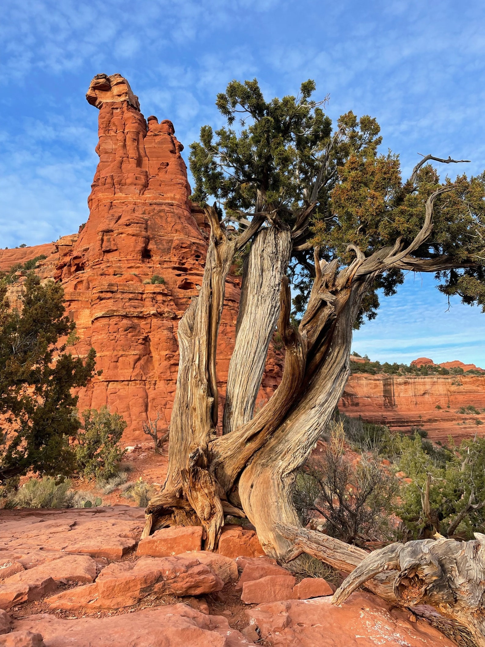 Sedona Arizona Desert Red Rocks Photo Etsy
