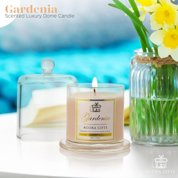 Glass Candle Dome Etsy