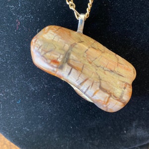 Puede incluir: Un collar de cadena dorada con un colgante de madera fosilizada. El colgante es de color marrón claro con un patrón natural y orgánico.
