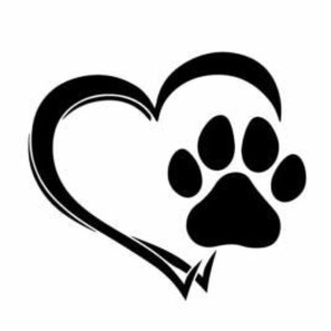 Single 50 Minute Pet Heart-Wall Release Session