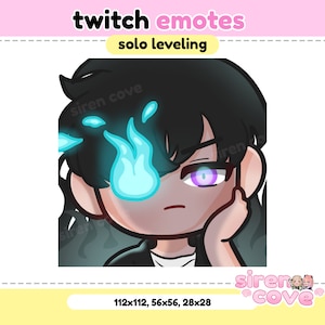 Solo Leveling Sung Jinwoo Emote for Twitch, Discord and Youtube / Kawaii, For Streamer,