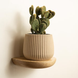 Floating shelf, mini, curved arc, oak wood, 7"W x 5.5" D | Array Floating Shelf | Klei Design