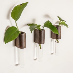 Magnetic Propagation Vase – Wood Test Tube Vase – Walnut or Oak – Fridge or Wall-Mounted Flower Holder