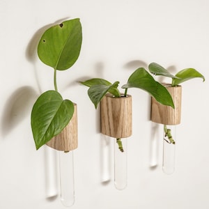 Kleine magnetische Vase aus Eiche und Glas, Kühlschrank oder Wand