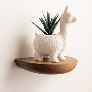 Può includere: Un vaso da fiori in ceramica bianca a forma di lama con una pianta grassa verde al suo interno, appoggiato su uno scaffale di legno.