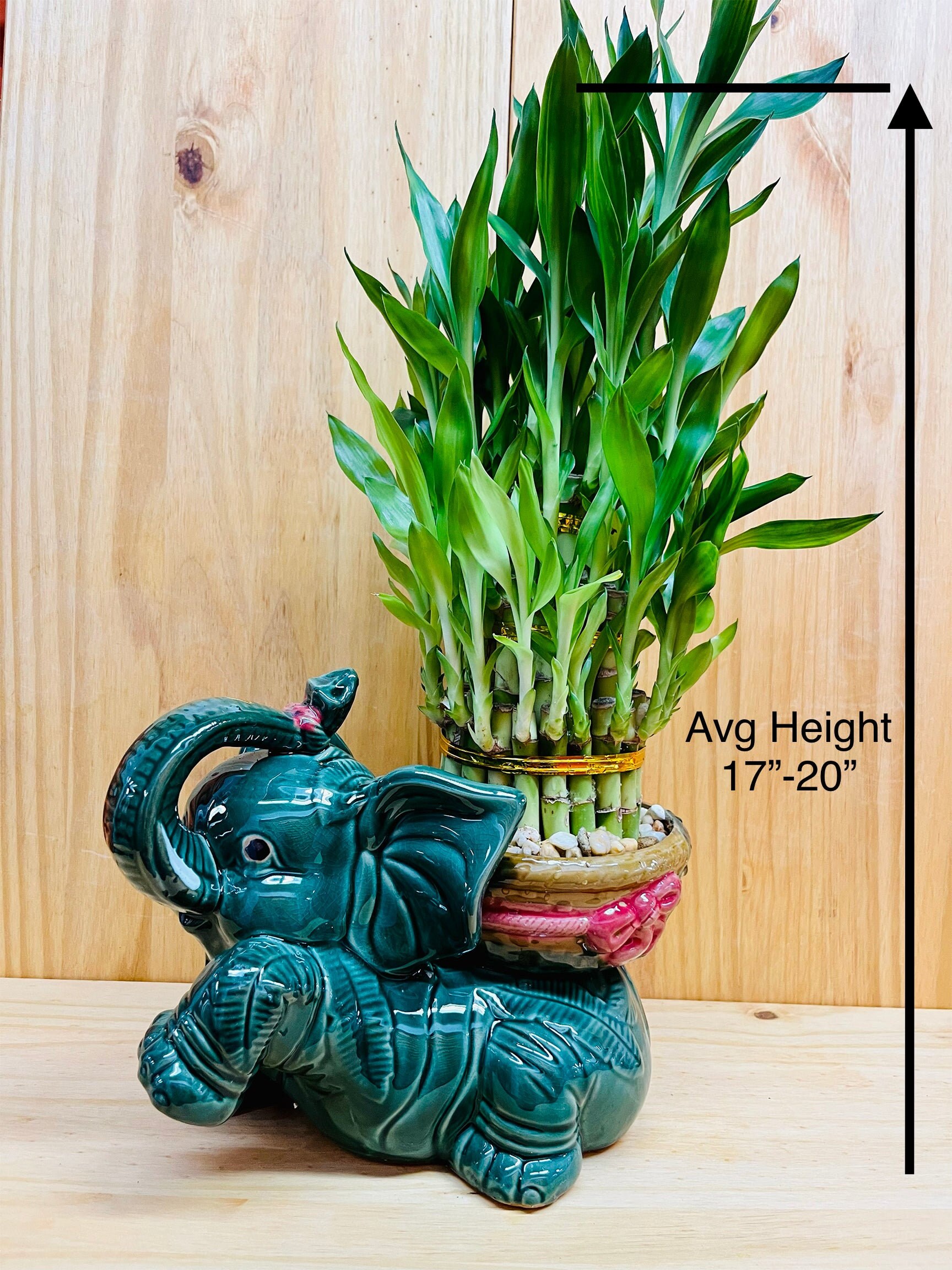 Jumbo Ceramic Lucky Bamboo Elephant Etsy