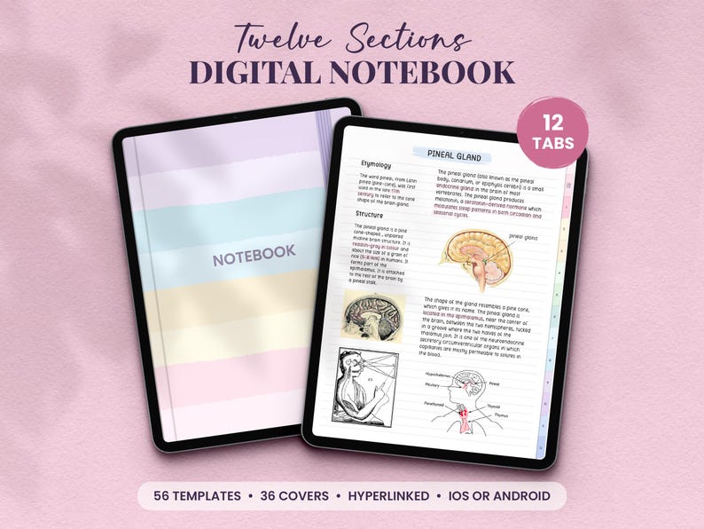 pastel digital notebook with 12 tabs or sections and kawaii covers that also includes planner templates
