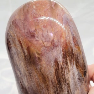 Petrified Wood Sculpture, Free Form Polished Fossilized Wood