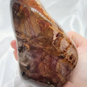 Petrified Wood Sculpture, Free Form Polished Fossilized Wood
