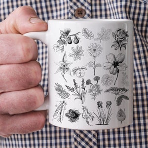 Plant Mug, Nature Mug, Science Teacher, Science Gift, Science Teacher Gift, Gift for Teacher, Gift for Him, Gift for Her, Education Gift