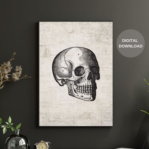 Human Anatomy Print, Skull Print, Printable Wall Art, Vintage Anatomy, Digital Download, Anatomy Art, Anatomy Poster, Home Decor