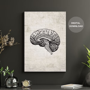 Human Anatomy Print, Vintage Brain Print, Printable Wall Art, Vintage Anatomy, Digital Download, Anatomy Art, Anatomy Poster, Home Decor