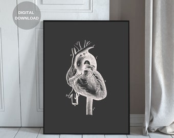 Human Anatomy Print, Heart Print, Printable Wall Art, Vintage Anatomy, Digital Download, Anatomy Art, Anatomy Poster, Home Decor