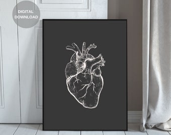 Human Anatomy Print, Heart Print, Printable Wall Art, Vintage Anatomy, Digital Download, Anatomy Art, Anatomy Poster, Home Decor
