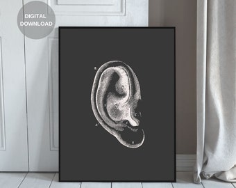 Human Anatomy Print, Ear Print, Printable Wall Art, Vintage Anatomy, Digital Download, Anatomy Art, Anatomy Poster, Home Decor
