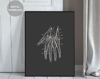 Human Anatomy Print, Hand Print, Printable Wall Art, Vintage Anatomy, Digital Download, Anatomy Art, Anatomy Poster, Home Decor