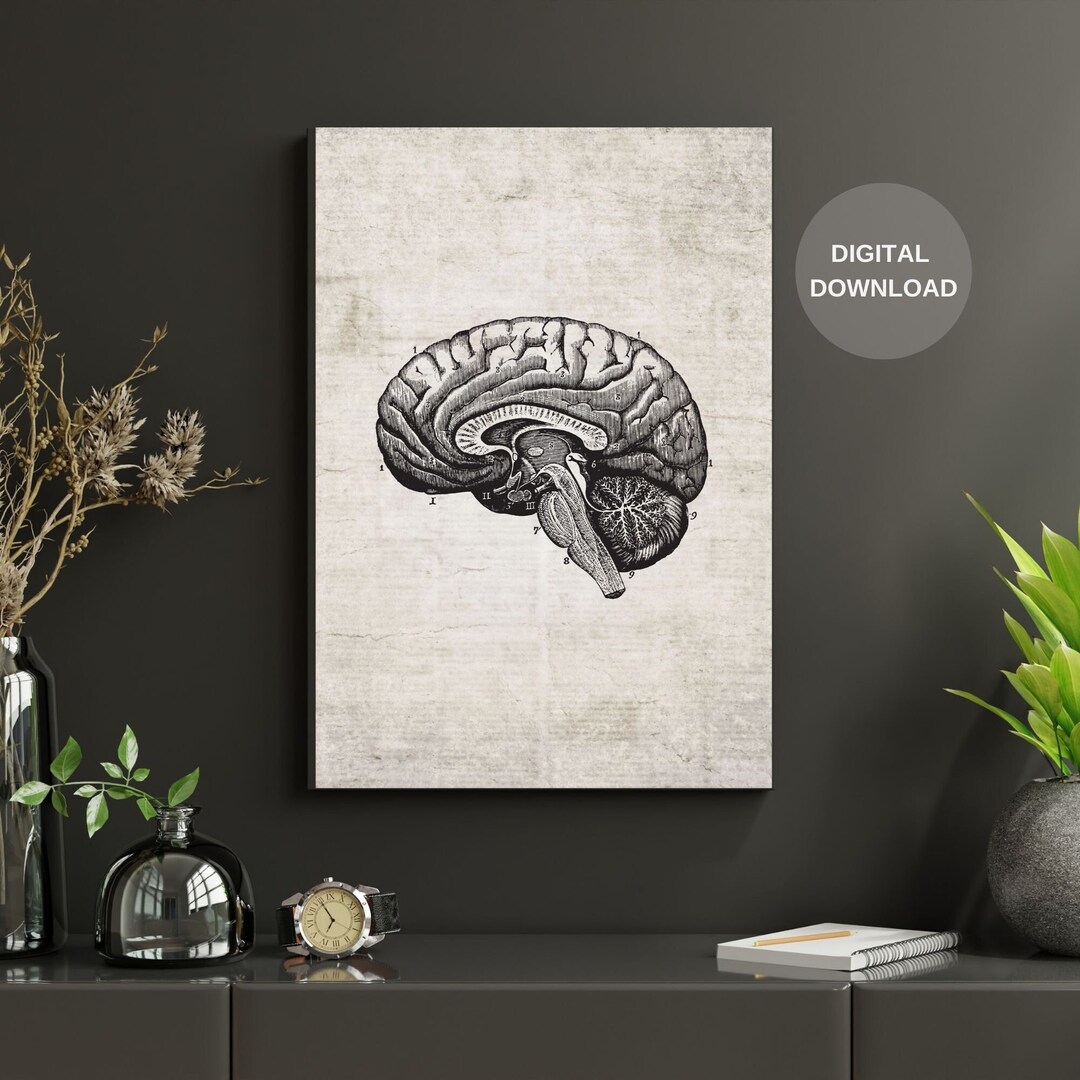 Human Anatomy Print, Vintage Brain Print, Printable Wall Art, Vintage ...