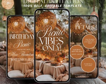 Animated Birthday Picnic Vibes Invitation Template, Digital Brunch Beach Park Picnic Party Evite, Summer Tea-Party Editable Text Invite
