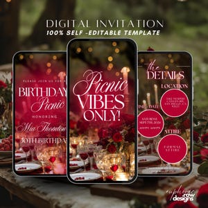 Animated Birthday Picnic Vibes Invitation Template, Digital Brunch Beach Park Picnic Party Evite, Summer Tea-Party Editable Text Invite