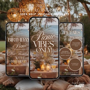 Animated Birthday Picnic Vibes Invitation Template, Digital Brunch Beach Park Picnic Party Evite, Summer Tea-Party Editable Text Invite