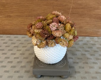 Faux Succulent Arrangement in White Ceramic Pot, Artificial Plant Decor, Small Shelf Decor